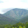 Florida Trip : Courtyard Marriot & Great Smokies